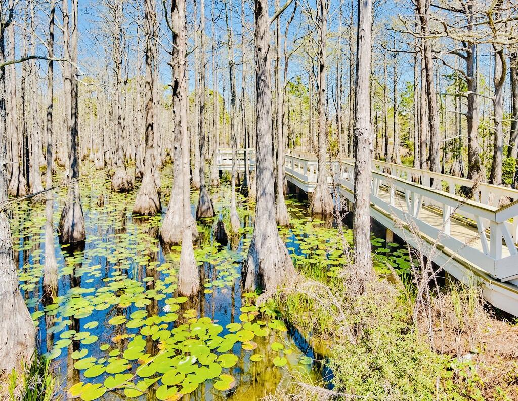 CYPRESS DUNES - Land