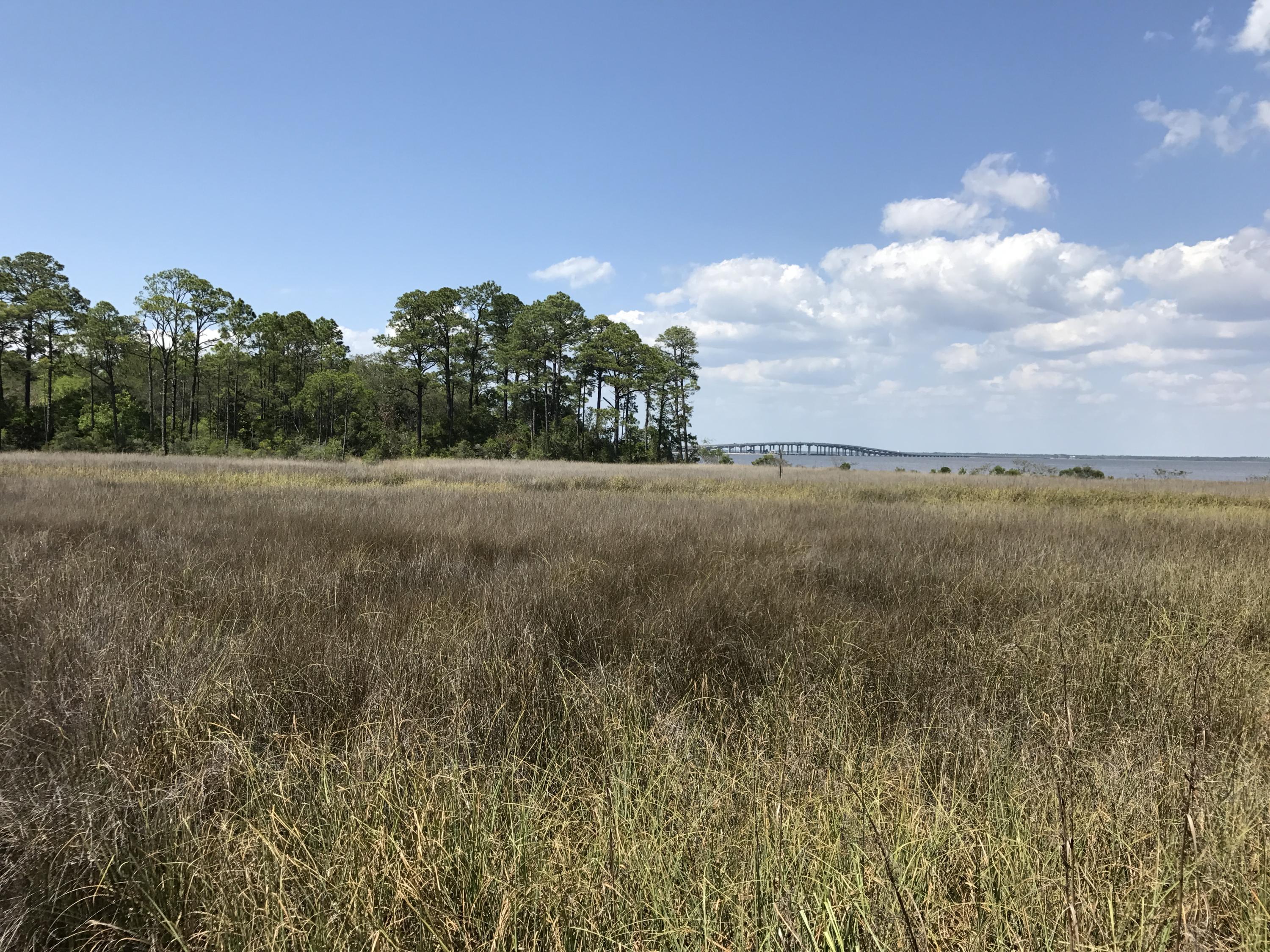 Gorgeous waterfront lot and an acre on the bayou in upscale gated neighborhood. With beautiful old oaks and spacious lots, The Estuary is the perfect setting to build your dream home. This lot is high and dry and has no build out time.