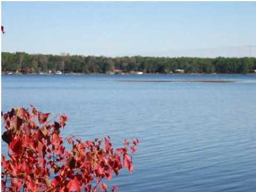 One of the nicest waterfront lots on Lake Juniper. Super location. Established neighborhood. Mobiles welcome. Juniper is known for its bass, bream & crappie fishing. State managed lake.