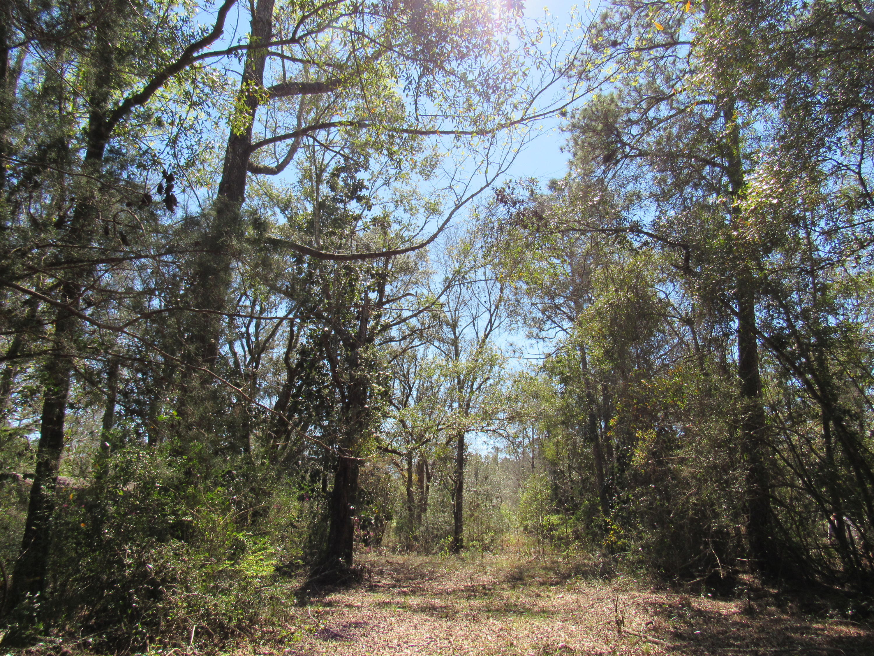 METES & BOUNDS - Land