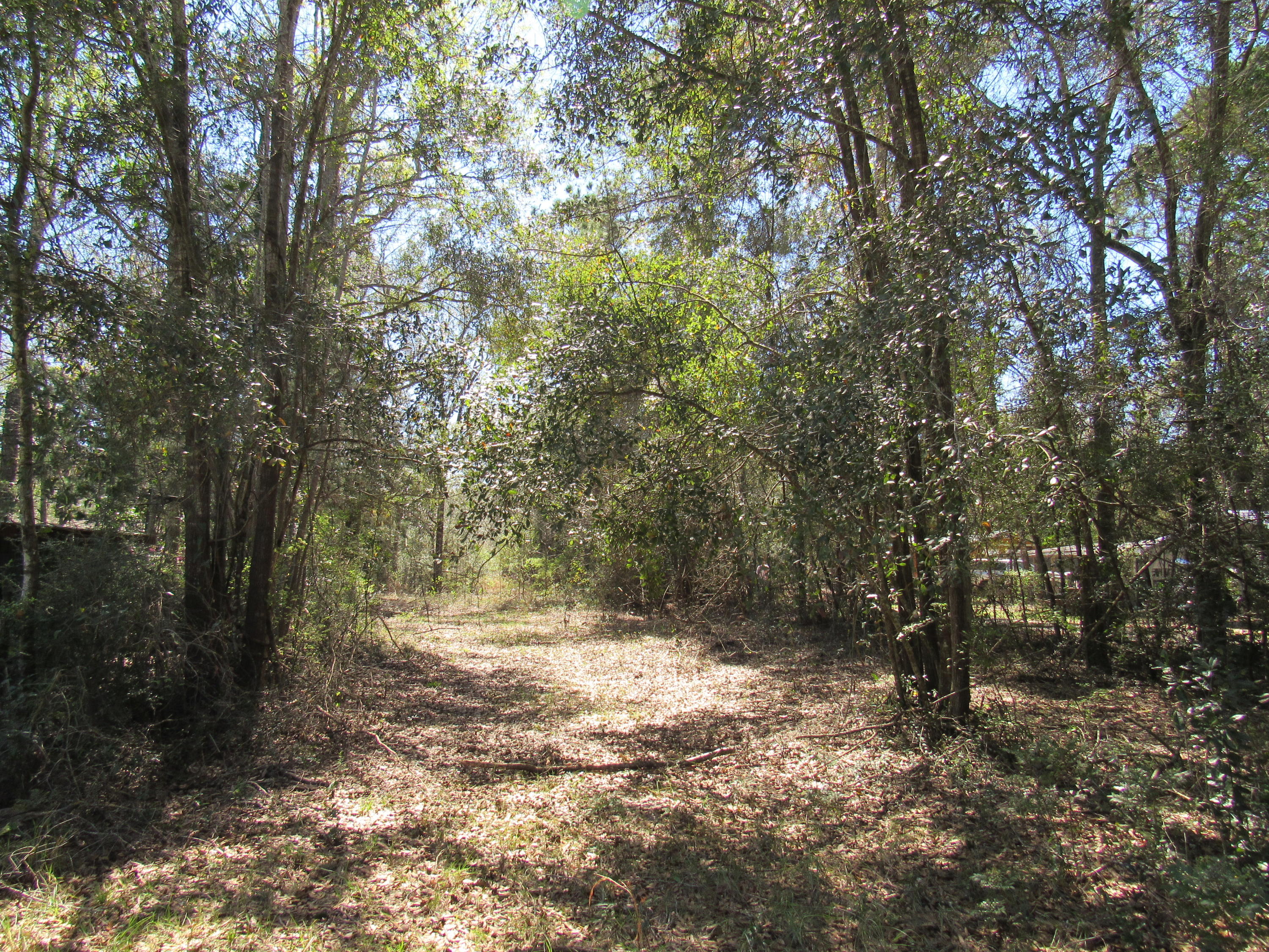 METES & BOUNDS - Land