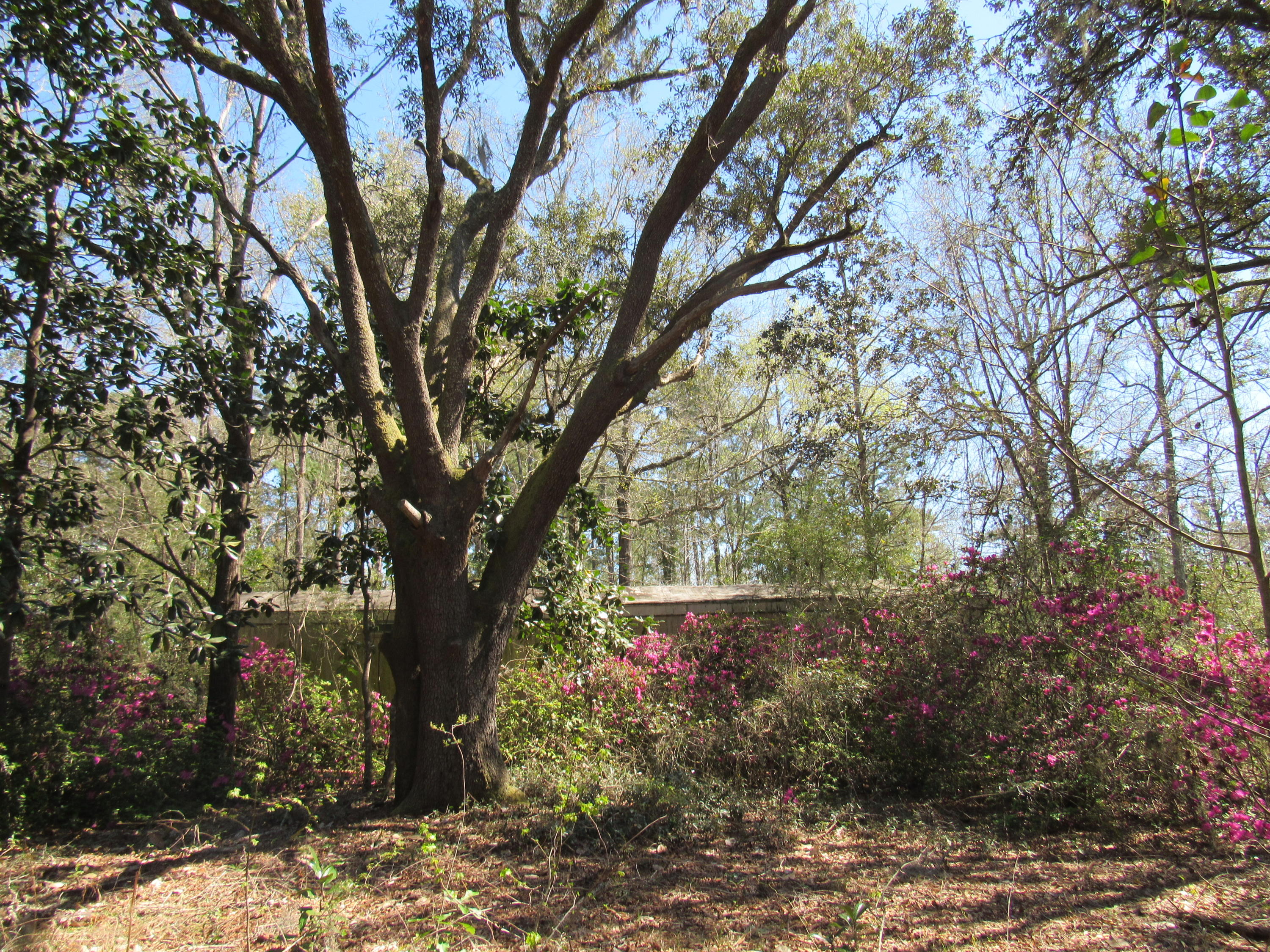 METES & BOUNDS - Land