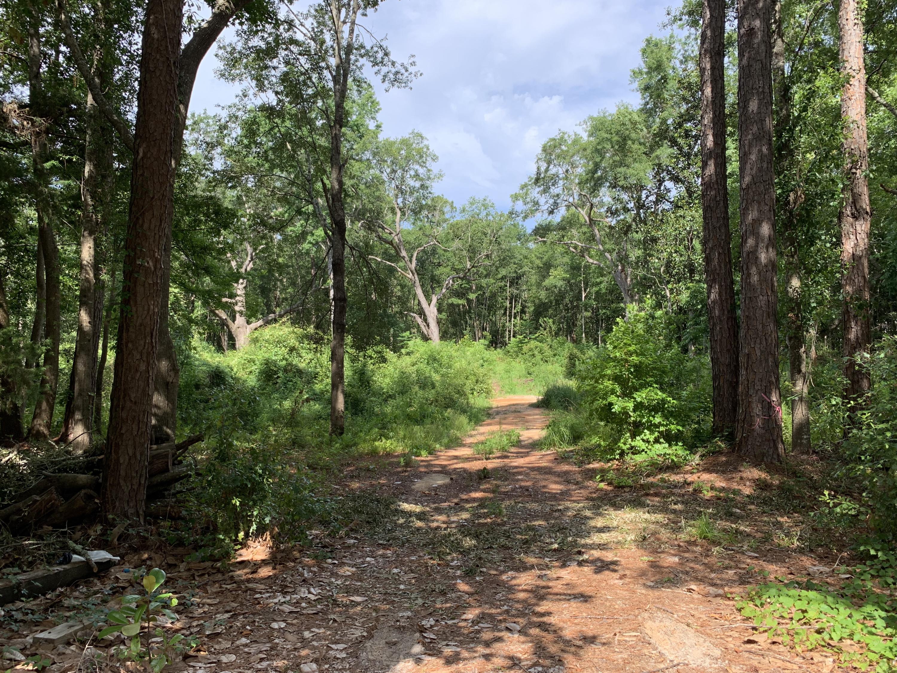 DEVELOPER SPECIAL! 3 lots available in the heart of Freeport! Zoned R3 High Density Residential. Perfect to build affordable housing. Lot 3 has deeded access from Madison St. and Tyler St. Great opportunity in a growing community, just minutes from shops, restaurants, and our beautiful beaches.