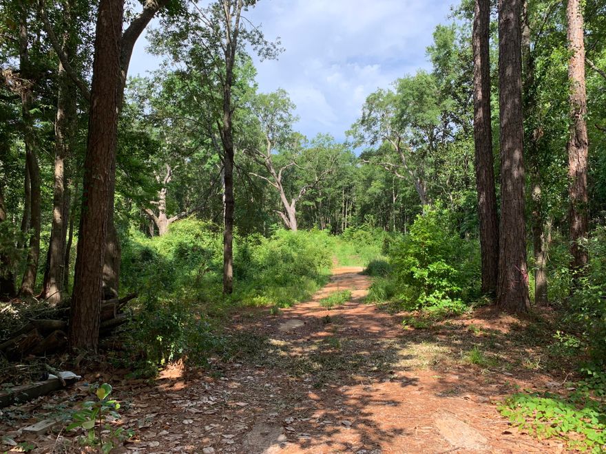 DEVELOPER SPECIAL! 3 lots available in the heart of Freeport! Zoned R3 High Density Residential. Perfect to build affordable housing. Lot 3 has deeded access from Madison St. and Tyler St. Great opportunity in a growing community, just minutes from shops, restaurants, and our beautiful beaches.