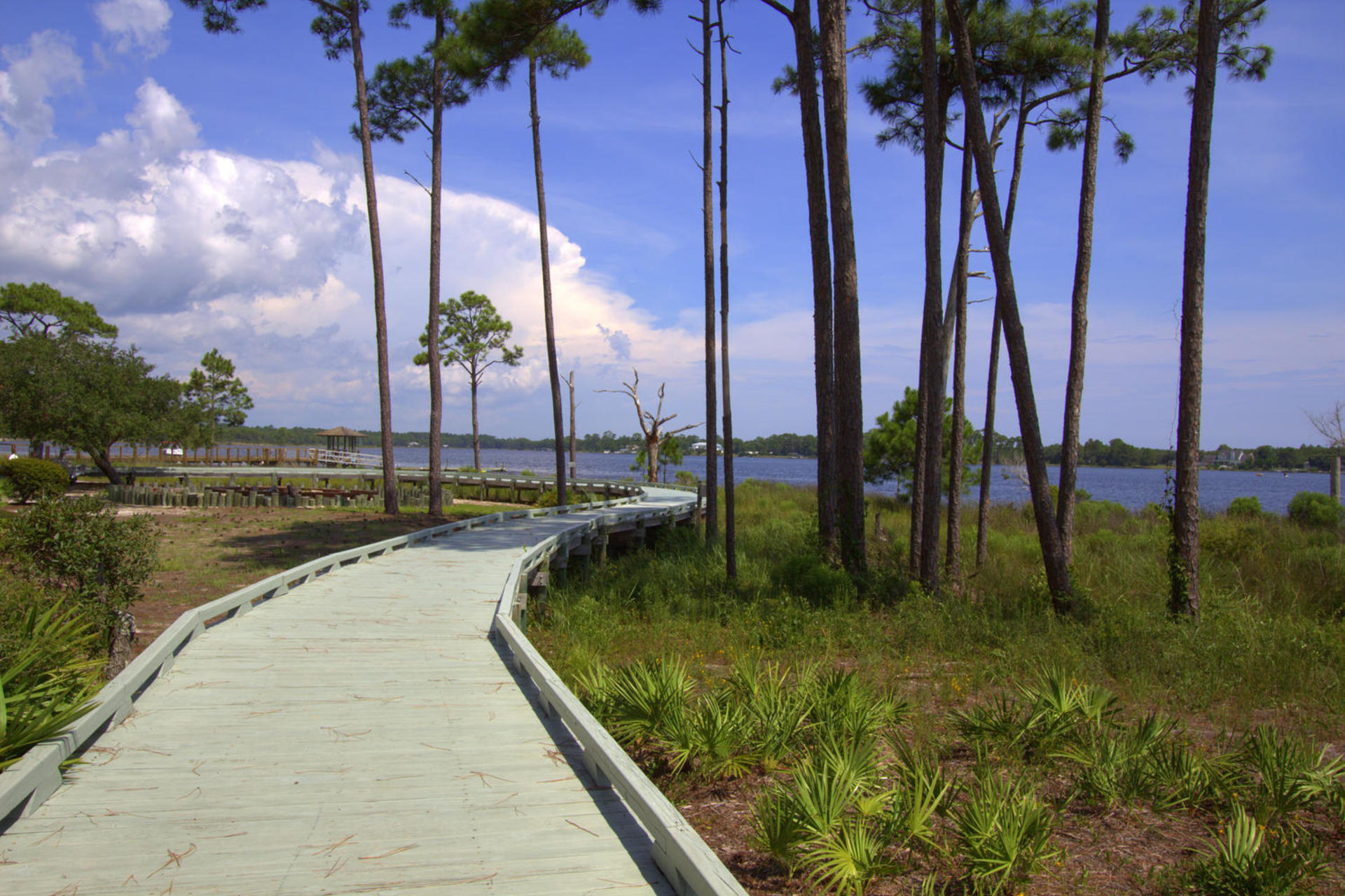 WILD HERON - Residential
