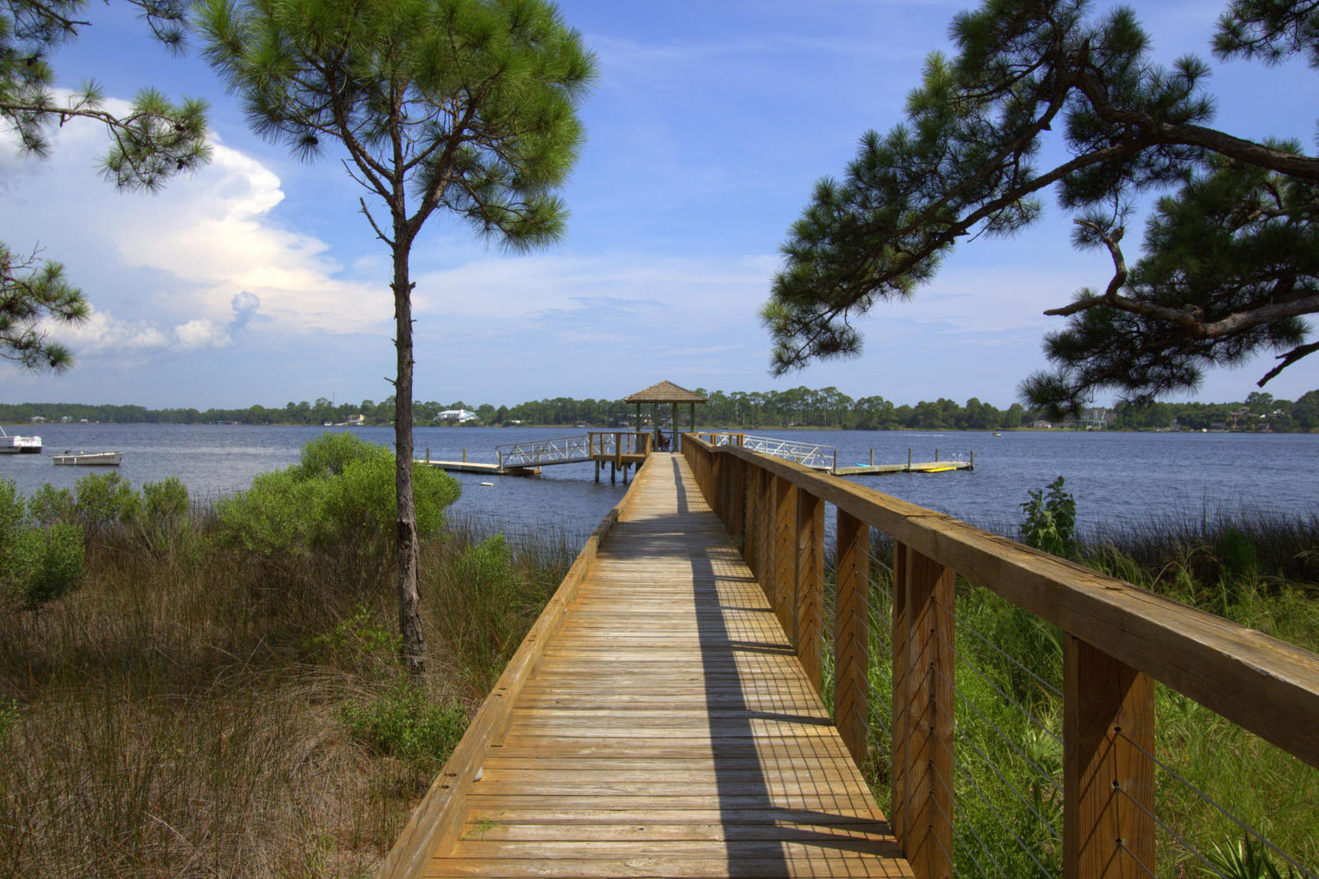 WILD HERON - Residential