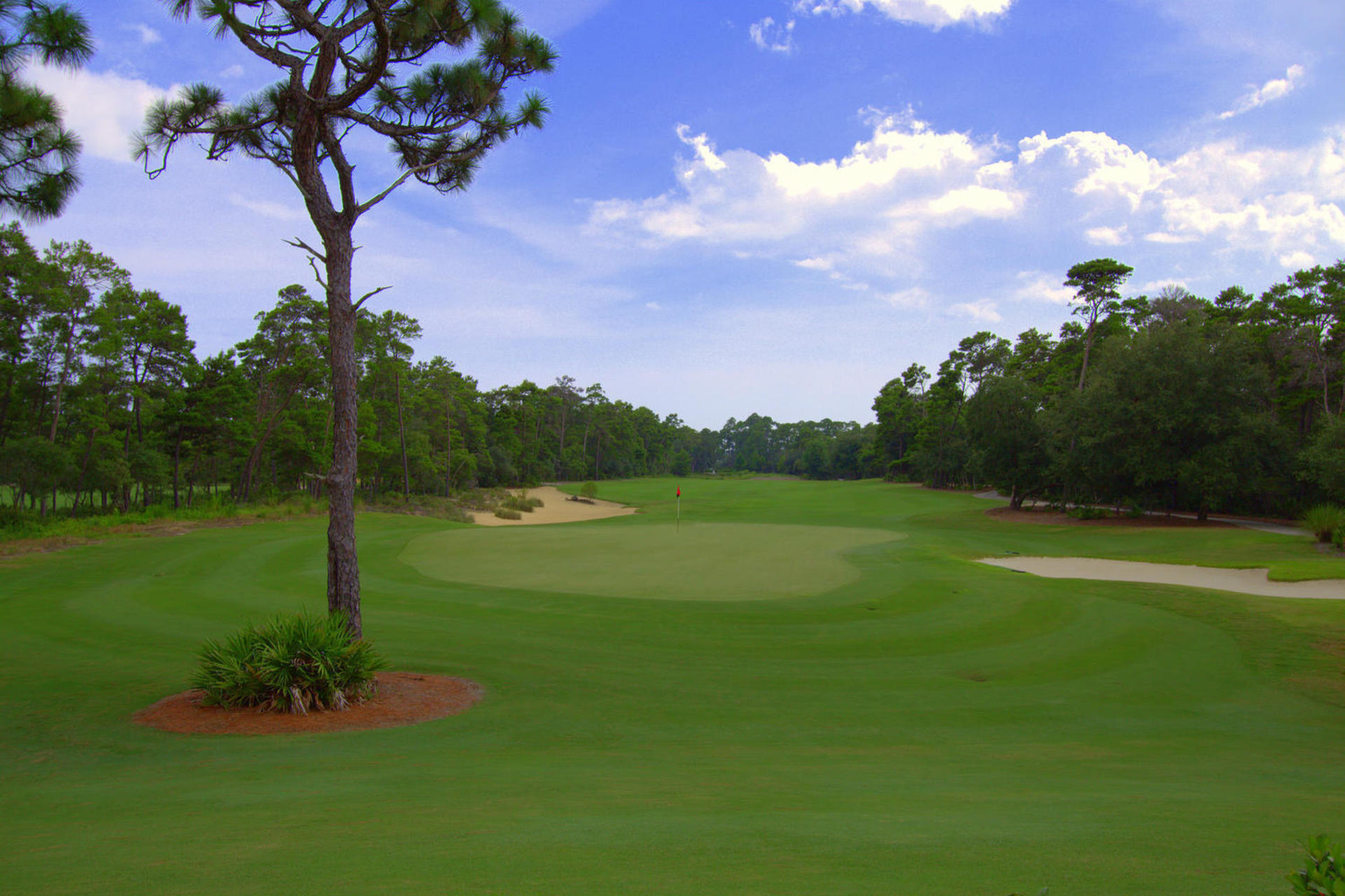 WILD HERON - Residential