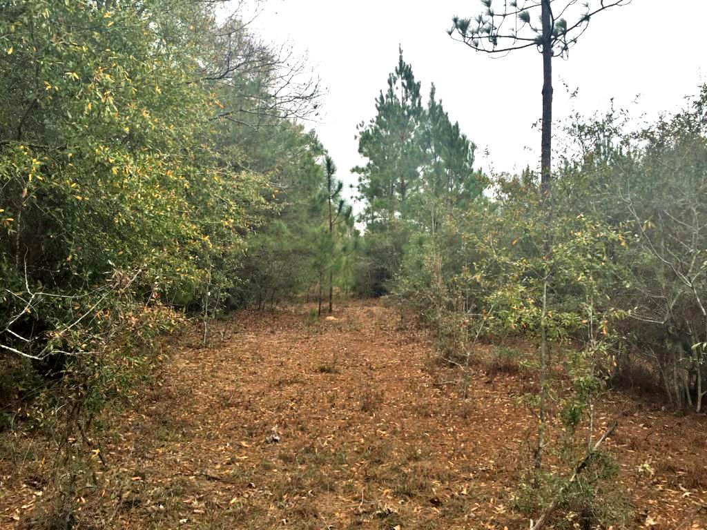 Metes & Bounds - Farm