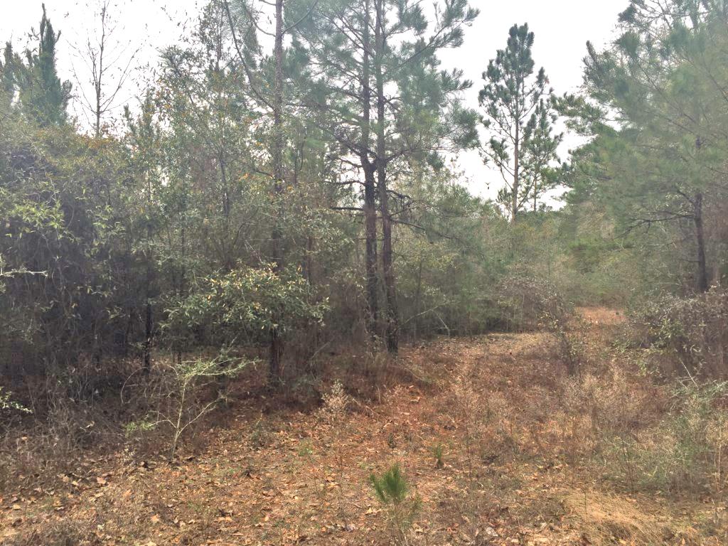 Metes & Bounds - Farm