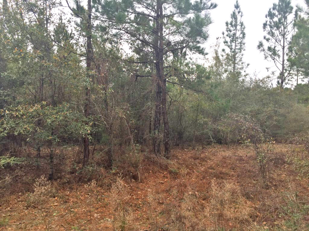 Metes & Bounds - Farm