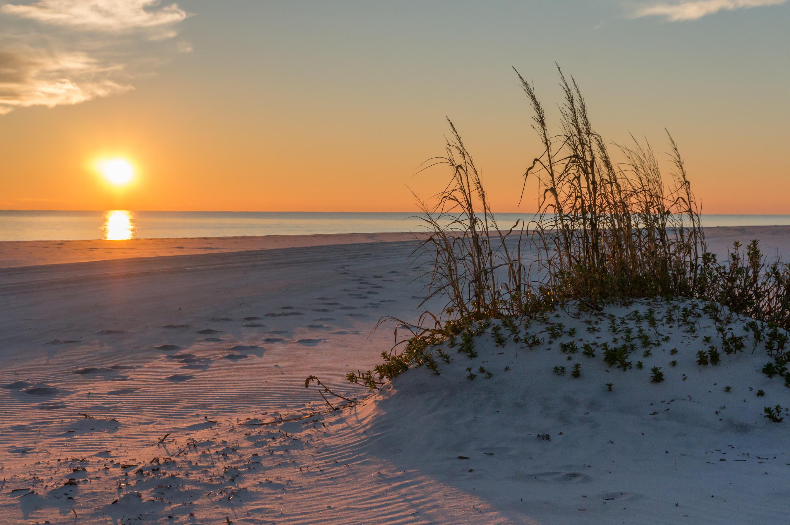 WATERSOUND BEACH - Land