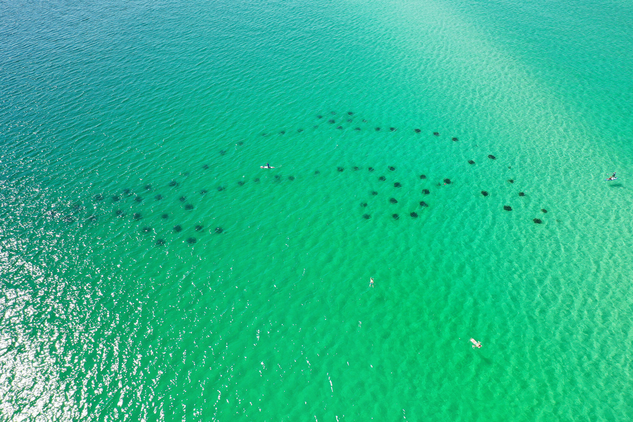 BLUE SURF TOWNHOMES - Residential