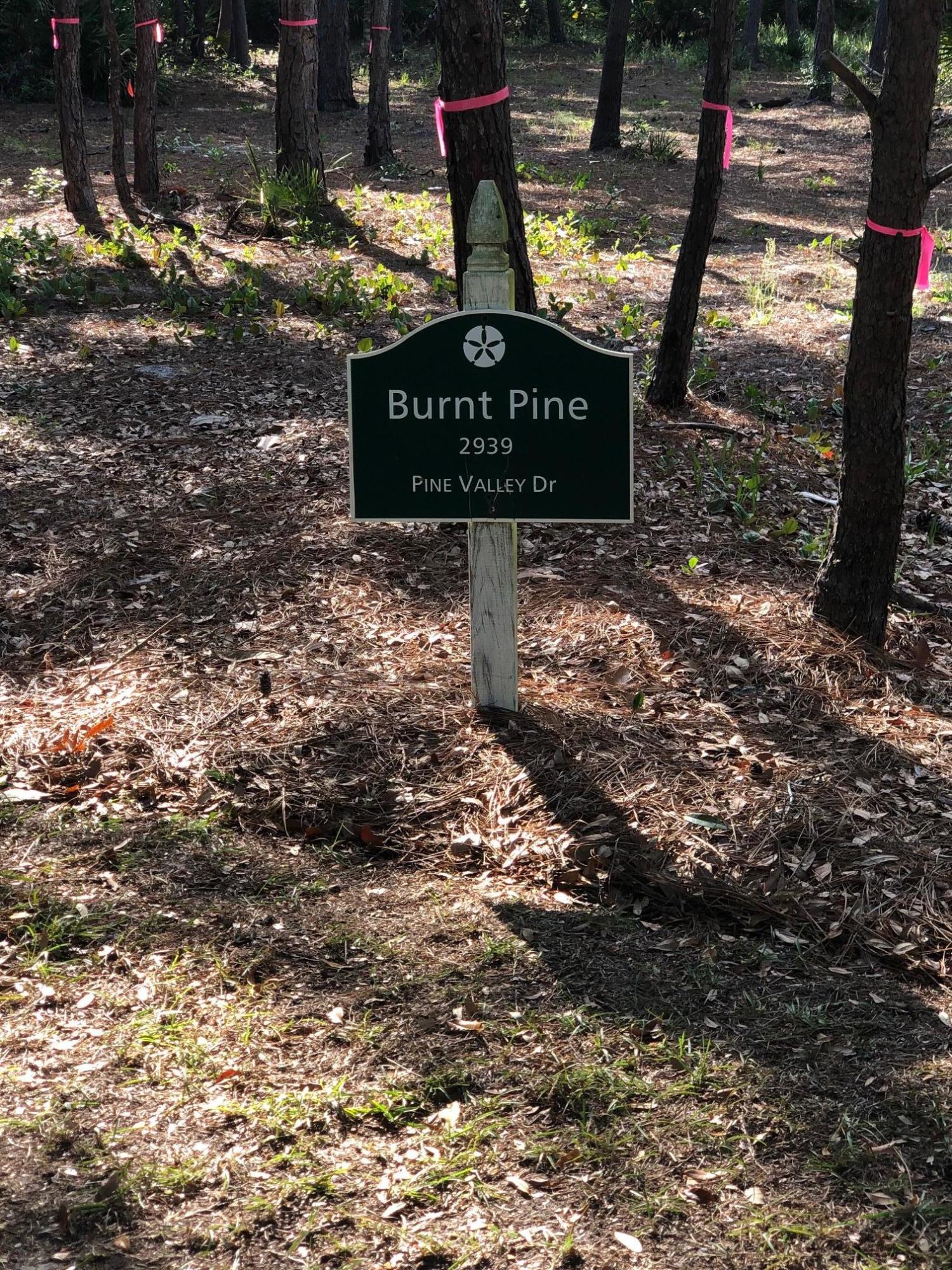 BURNT PINE - Land
