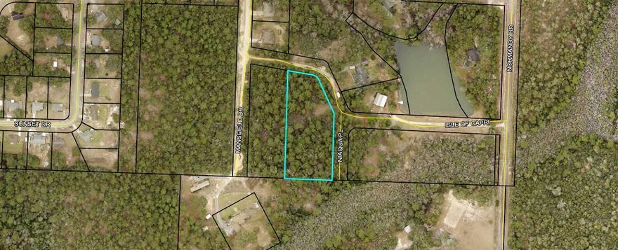 Come check out this great lot, located on the northside of Crestview. Private and wooded lot .Conveniently located to schools ,local stores, and restaurants. This is a 4 plotted lot according to Okaloosa county planning and zoning. Survey attached. Call today !