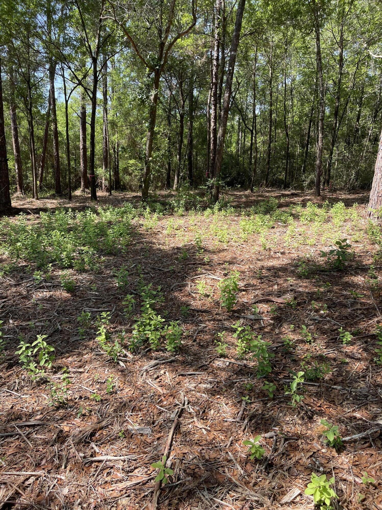 NORMANDY TERRACE - Land