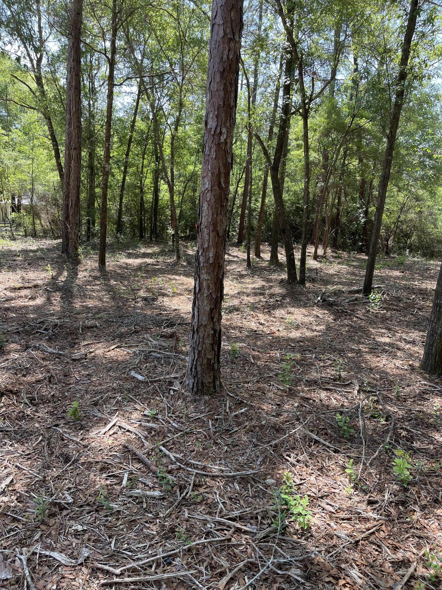 NORMANDY TERRACE - Land