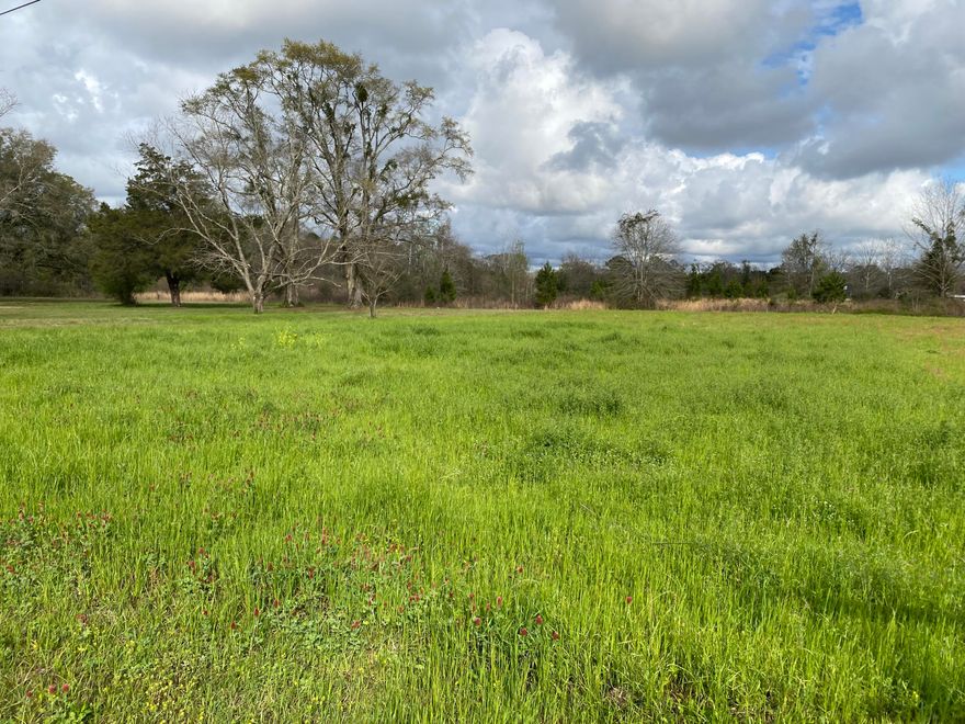 Vacant land on N Highway 85. Highway Frontage. Zoned Mixed Use, Okaloosa County. Near grocery stores, schools and commercial.