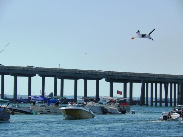 BAYSIDE PH 2 - Residential