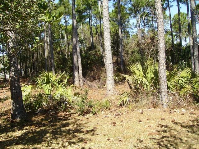 BAYSIDE PH 2 - Residential