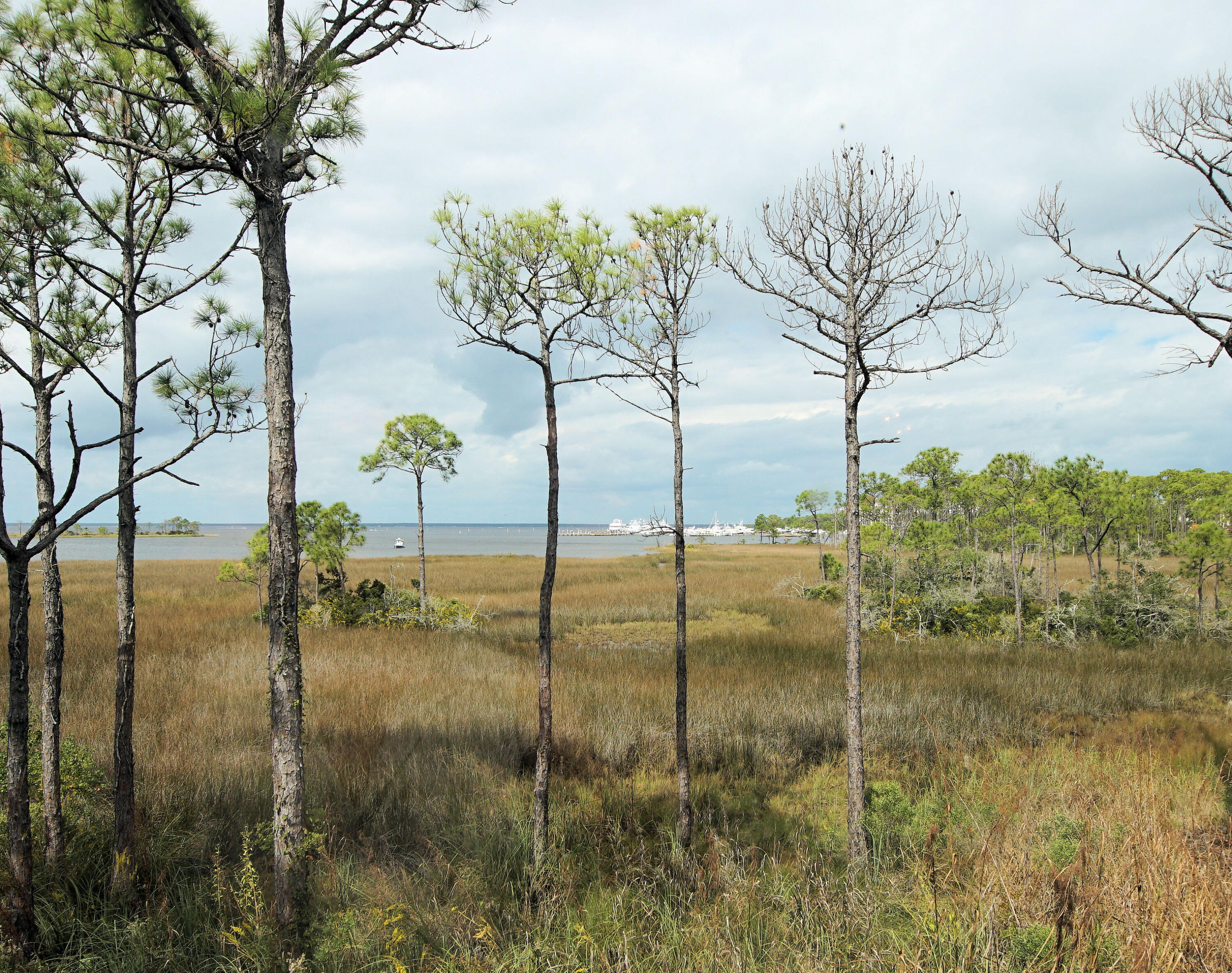 HERON WALK PH 1 - Residential