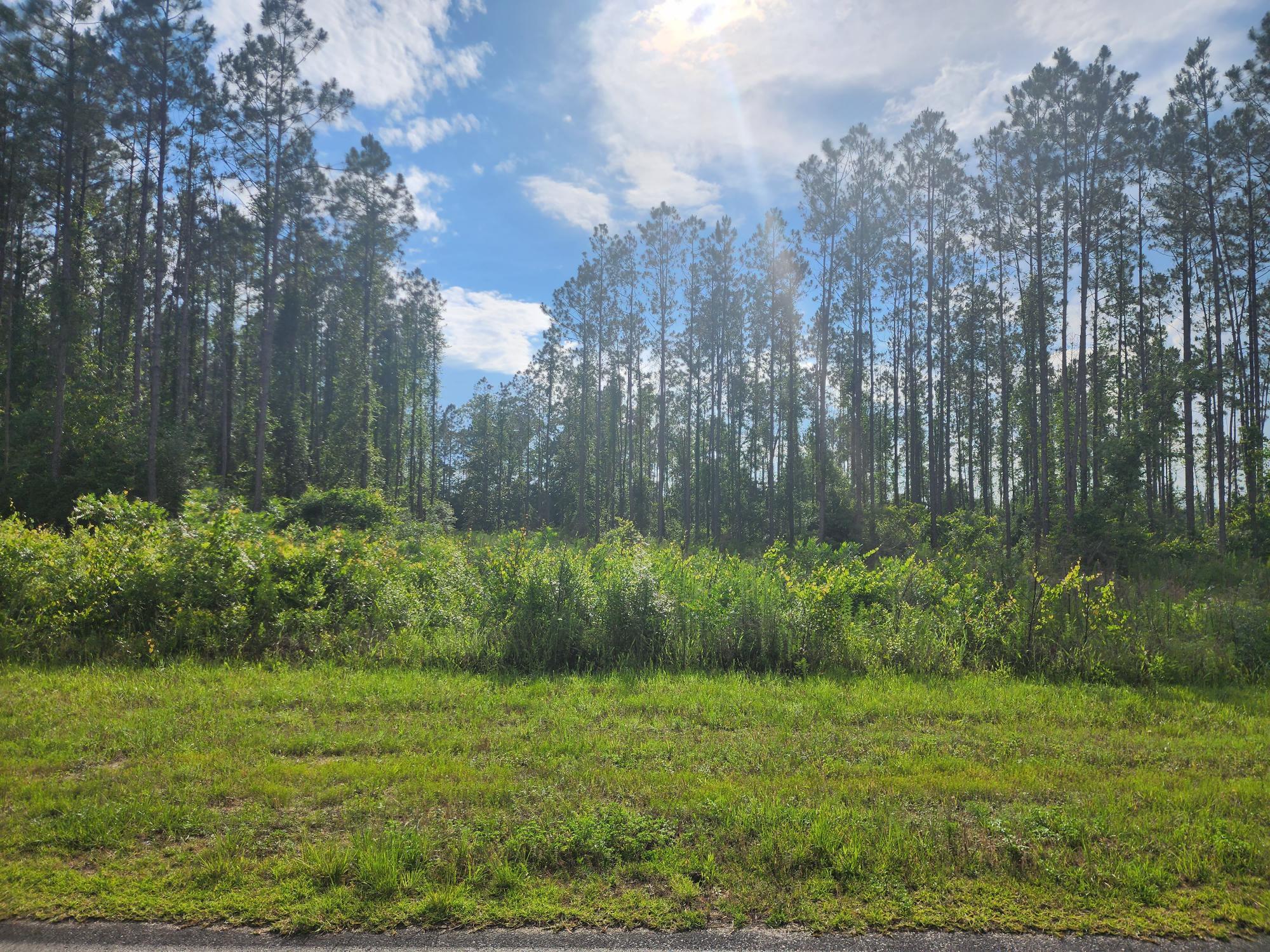 Beautiful property in Laurel Hill, bring your house plans and build that barndominium while you enjoy the serentity of the country setting without being too far out form town.