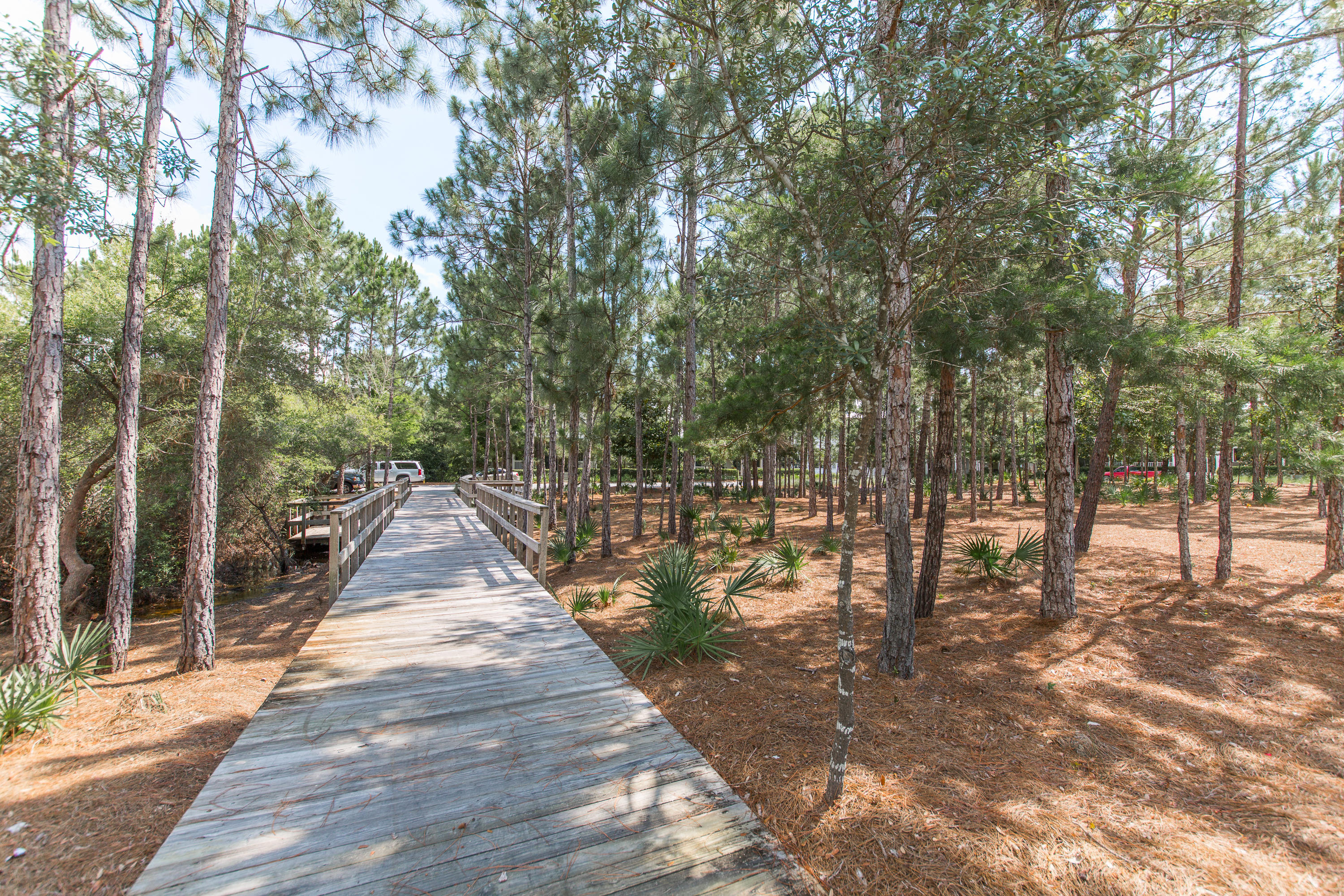 WATERCOLOR - Residential