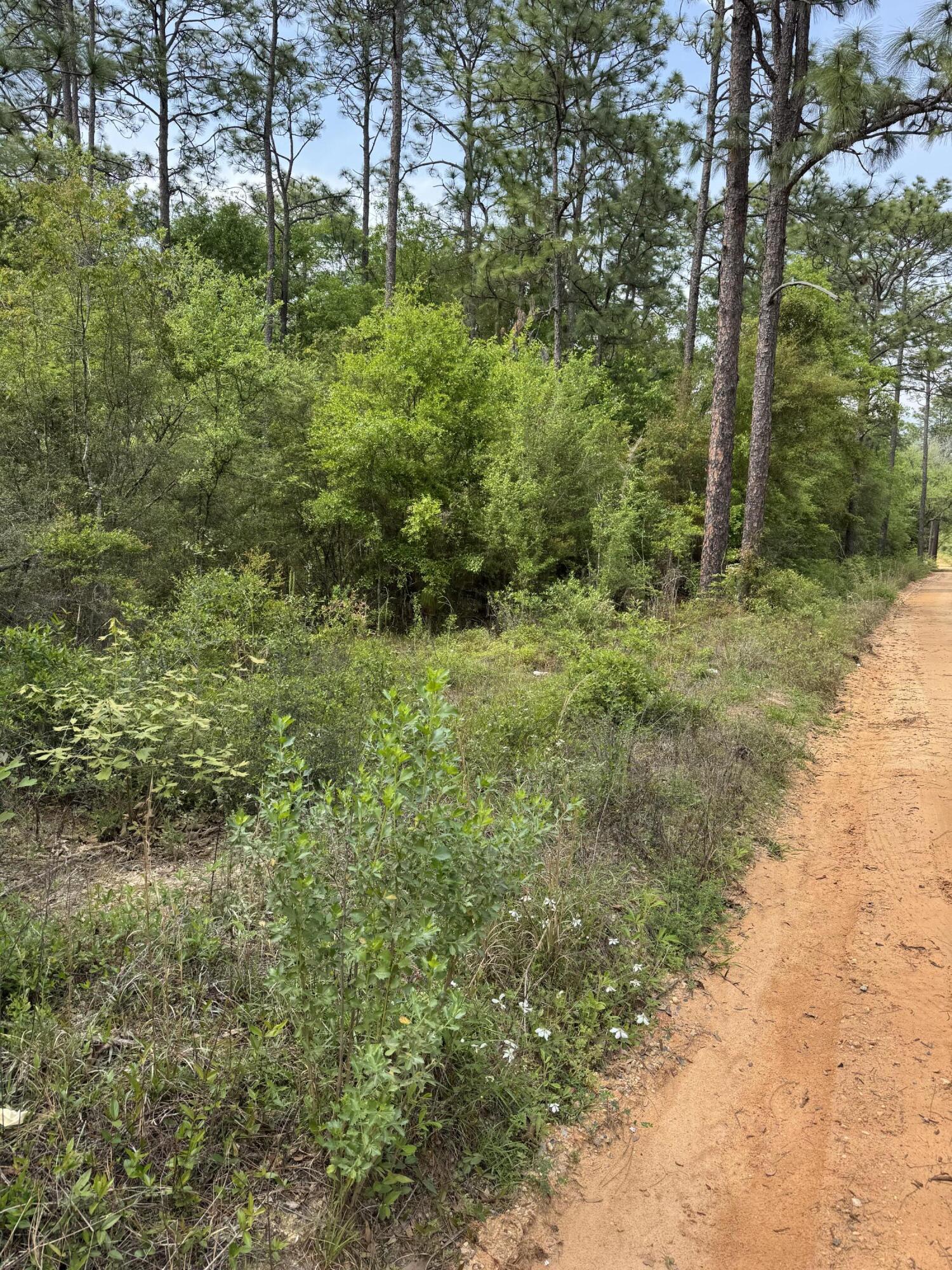 Dogwood Lake Estates - Land
