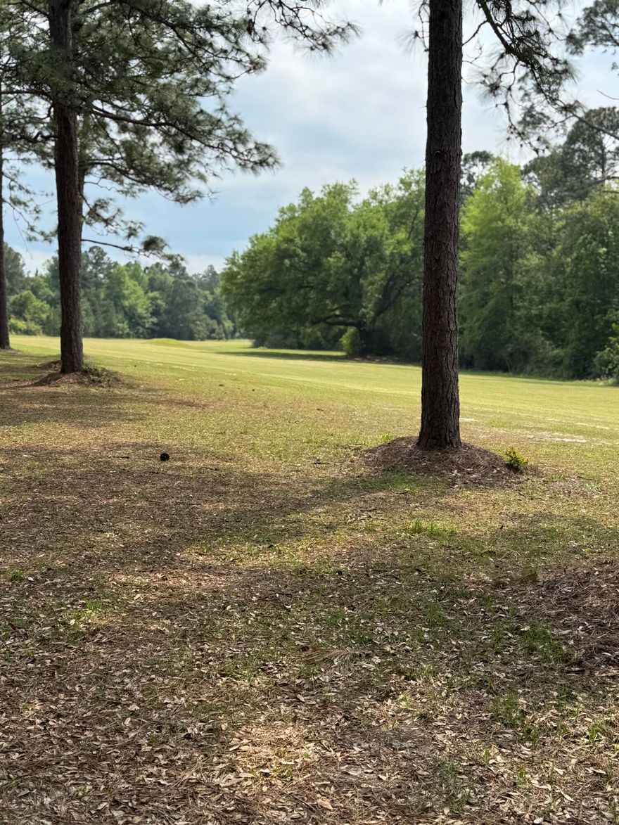Welcome to your opportunity to build in the peaceful and established Dogwood Lakes Estates community of Bonifay, Florida. With a beautiful clearing facing the golf course, this lot offers a perfect blend of open space and natural beauty, ready for your dream home or getaway retreat.Enjoy the quiet charm of country living with convenient access and proximity to the serene Dogwood Lake. Whether you're looking to build now or invest in land for the future, this lot provides flexibility and potential in a sought-after location.Don't miss your chance to own a slice of Florida paradise--schedule a visit today and envision the possibilities!