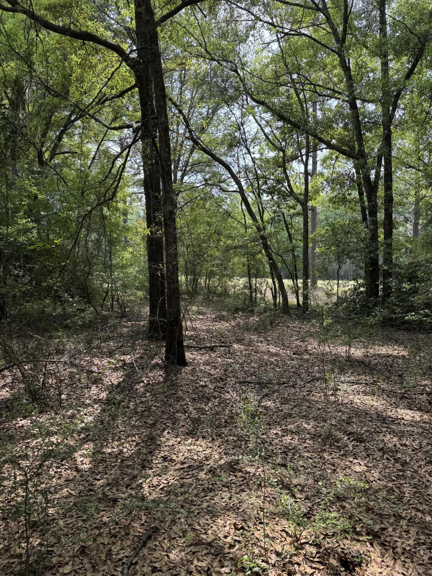 Dogwood Lake Estates - Land