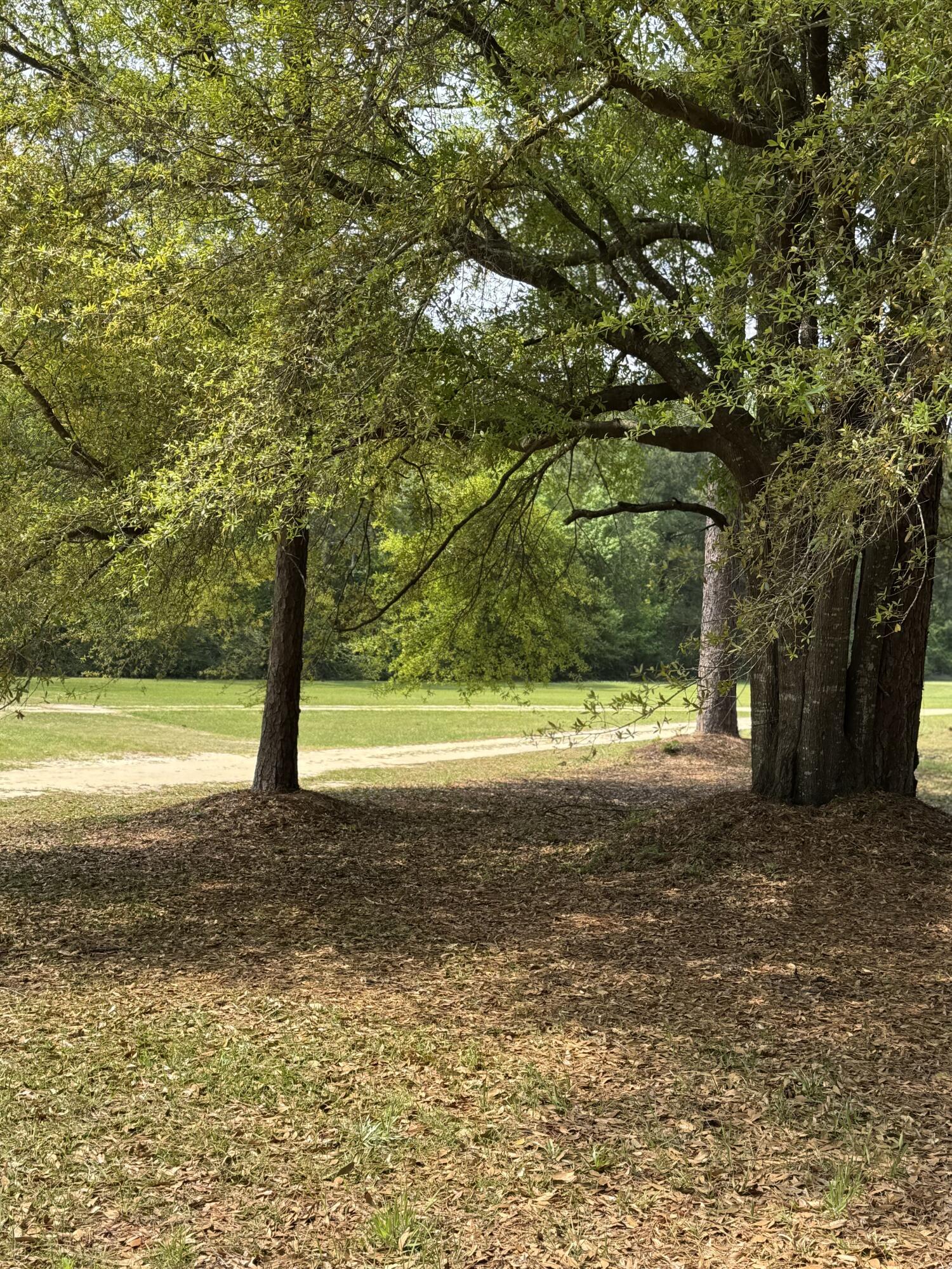 Dogwood Lake Estates - Land