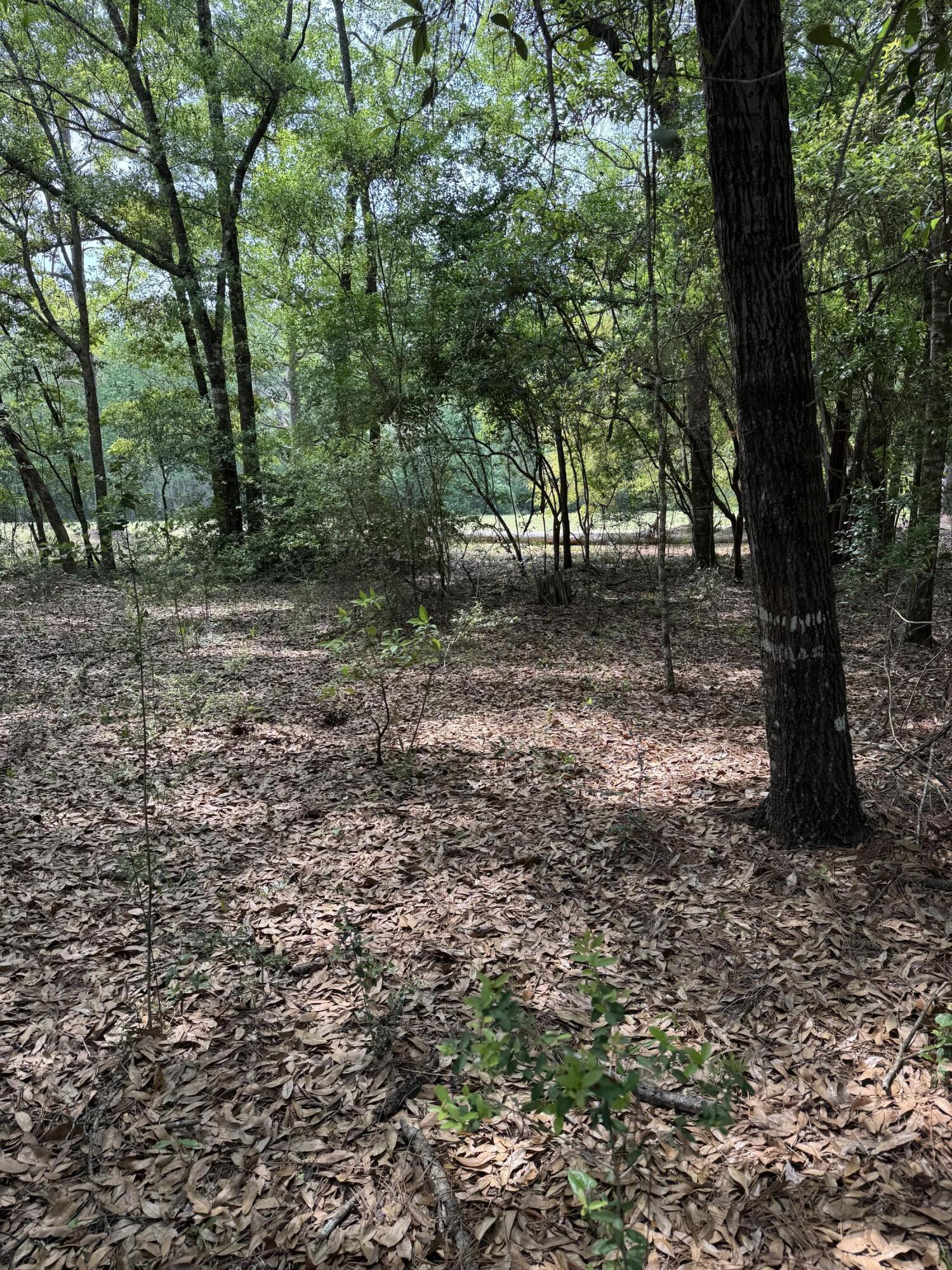Dogwood Lake Estates - Land