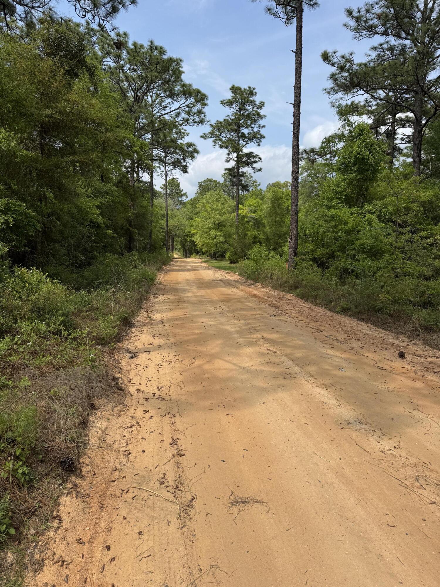 Dogwood Lake Estates - Land