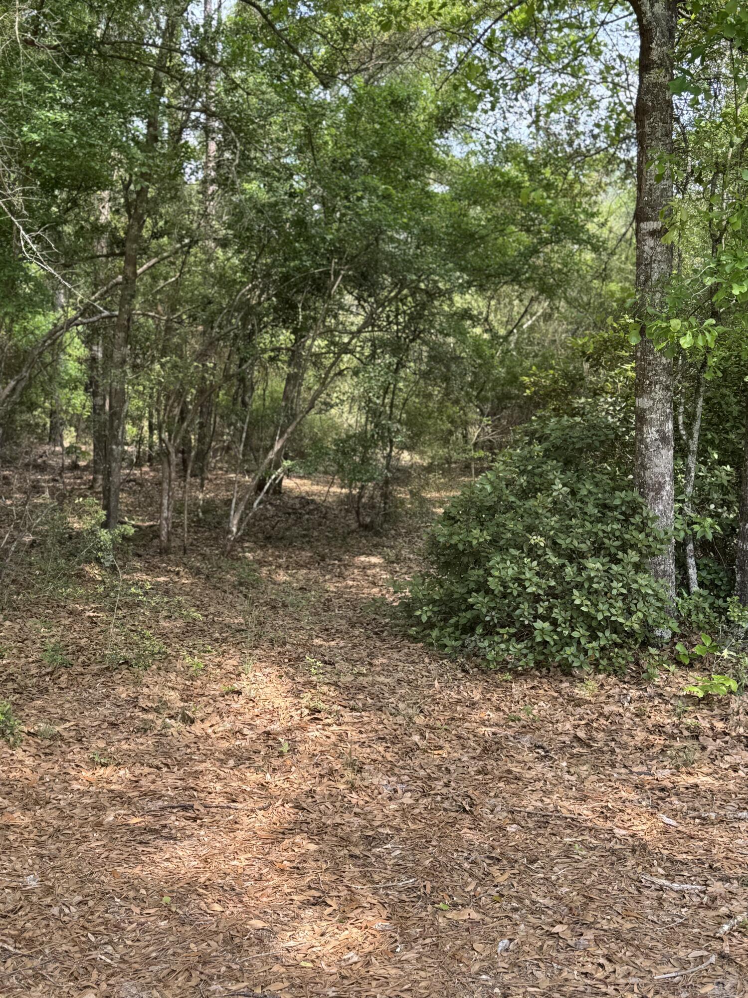 Dogwood Lake Estates - Land