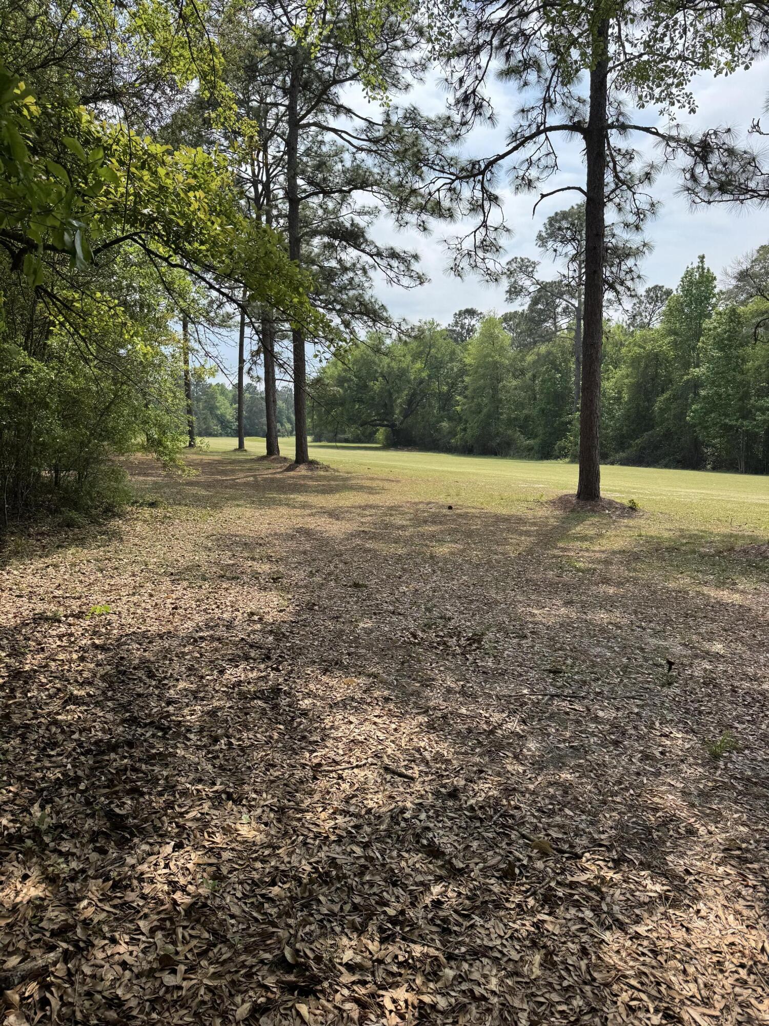 Dogwood Lake Estates - Land