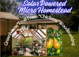 NEW ROOF WITH ACCEPTABLE OFFER AND A BIG BONUS FOR BUYERS--- PAID OFF SOLAR PANELS ($55,000 VALUE) for your SELF-SUSTAINING MICRO HOMESTEAD! That's just the beginning of what you get with this purchase. #KeepReadingIf you're looking to dabble in the homestead movement and incorporate a more self-sustaining lifestyle, without sacrificing the perks of the city, this 3 BR/2 bath CUSTOM BRICK HOME will accommodate.Sitting on a 1/2 an acre of lush mature landscaping with numerous FRUIT TREES, BERRY BUSHES, GRAPEVINES AND POLLINATORS... this gardener's paradise is equipped with FULL IRRIGATION SYSTEM, NEW WATER WELL, and a GREENHOUSE for year-round veggies/fruits and any other plant your heart desires. There's also a smaller fenced area (continued) within your fully-fenced backyard... perfect for chickens and small animals!
The outdoor perks continue! There are 4 LARGE STORAGE SHEDS for equipment and tools, and a separate space for your VERY EXPENSIVE SAW MILL (Canadian-built 16ft bandsaw/sawmill) that will convey for the right price; perfect for woodworking projects and woodburning scraps! Bonfires on the micro-homestead are encouraged!
Now let's talk outdoor entertainment... specifically-- CUSTOM PAVILION/ENTERTAINMENT SPACE EQUIPPED WITH YOUR OWN OUTDOOR TV AND GRILLMASTER STATION! This GINORMOUS CUSTOM GAZEBO was built using the Canadian Sawmill referenced earlier and is the perfect place for BBQ cookouts, family gatherings or watching your favorite team dominate in the playoffs! #FridayNightHangout
Now let's tour the inside.
They don't build brick homes like they once did! This home was built with quality brick masonry and the curb appeal is 10 out of 10! Step inside to warm wood paneling, ceramic tile flooring, crown molding and an opportunity for the savvy investor to add their own cosmetic touches and CASH IN TO UNTAPPED EQUITY!
The galley kitchen features white cabinetry, newer stainless-steel appliances and faux granite counters. There's also a pantry and designated dining area!
What would you do with 2 living rooms? Now is your chance to decide. There is a SECOND LIVING ROOM/DEN just off the dining space.
The bedrooms are tucked away for privacy. The primary suite is perfect for relaxing with an ensuite bathroom that boasts new vanity, walk-in closet and more untapped equity.
The remaining guest bedrooms offer ample room for large furniture and the guest bathroom boasts new vanity and shower/tub combo.
Other notable mentions-- SCREENED PORCH, 2-CAR GARAGE, 2 CARPORTS, ENCHANTING GARDENS AND ORNAMENTALS, COUNTY TAXES, NO HOA AND CLOSE TO THE BEST OF CRESTVIEW!
This micro homestead is priced for movement and ready for new owners. Make your offer today!