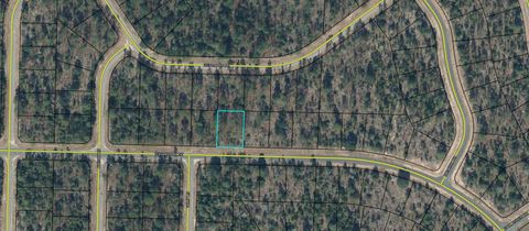Photo of Lot 12 WINDBROOK Street, Chipley, FL 32428 (MLS # 927305)