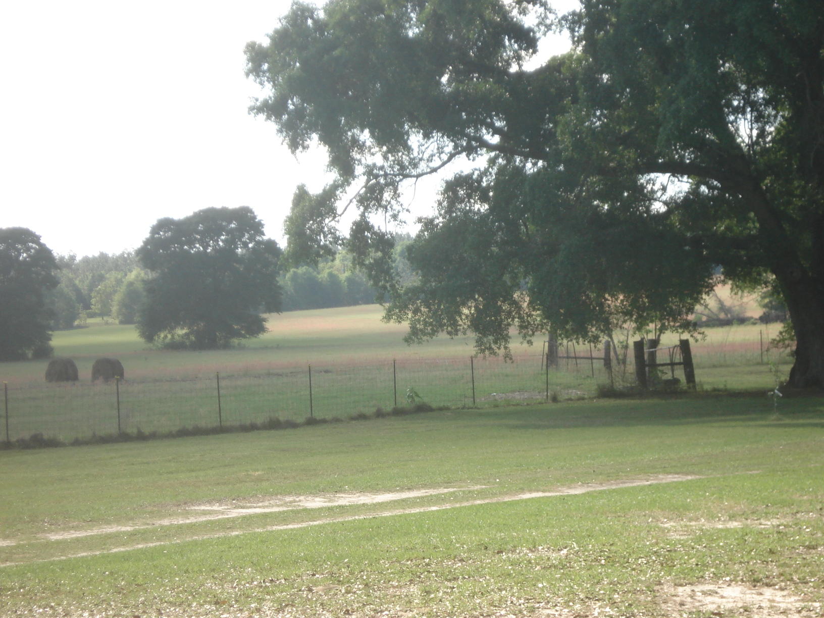 NE1/4 AKA GOVT LOTS 1 & 2 SUBJECT TO COUNTY EASEMET WITH DEED RESTRICTIONSlegal tbd - Land