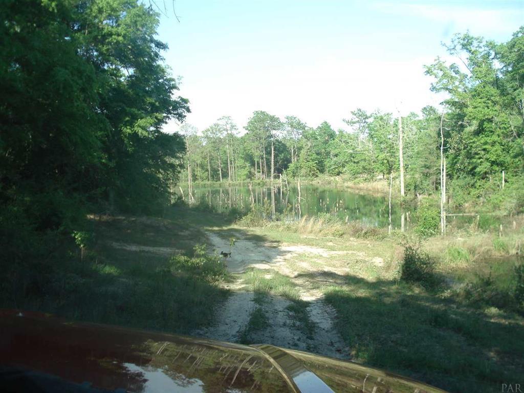 NE1/4 AKA GOVT LOTS 1 & 2 SUBJECT TO COUNTY EASEMET WITH DEED RESTRICTIONSlegal tbd - Land