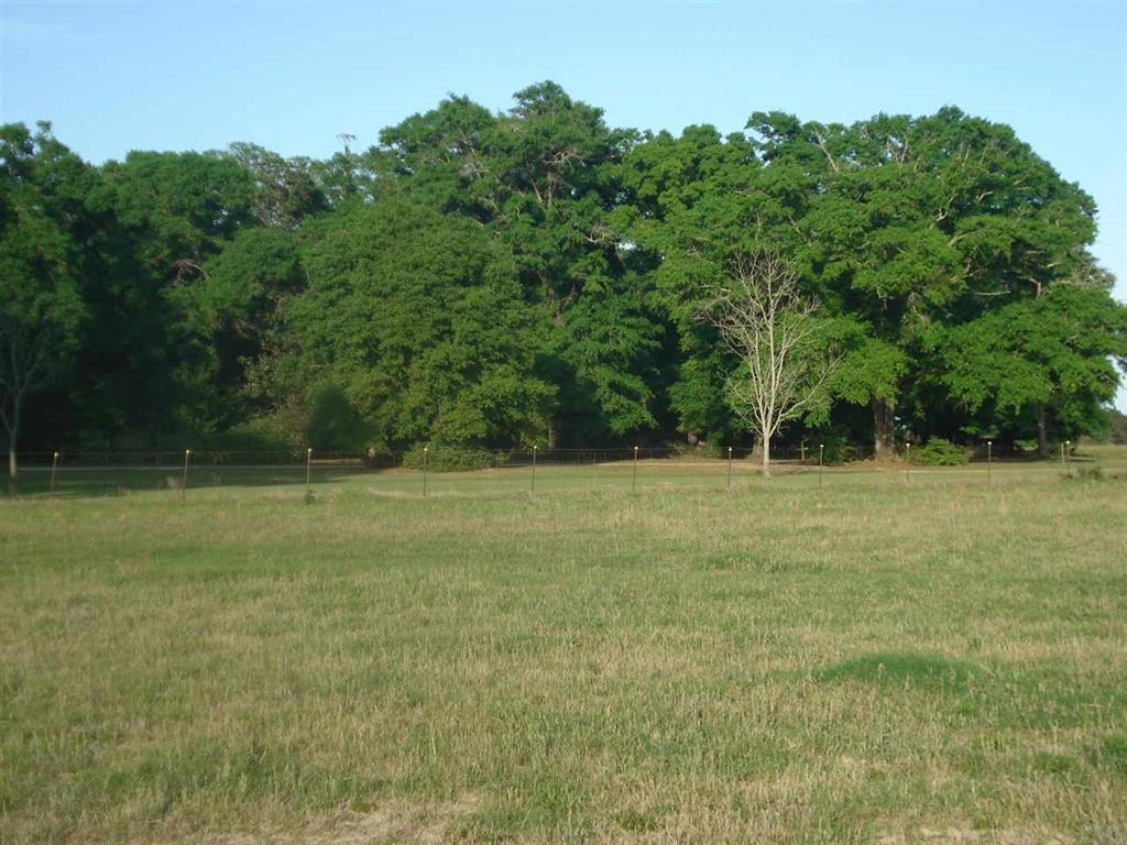 NE1/4 AKA GOVT LOTS 1 & 2 SUBJECT TO COUNTY EASEMET WITH DEED RESTRICTIONSlegal tbd - Land