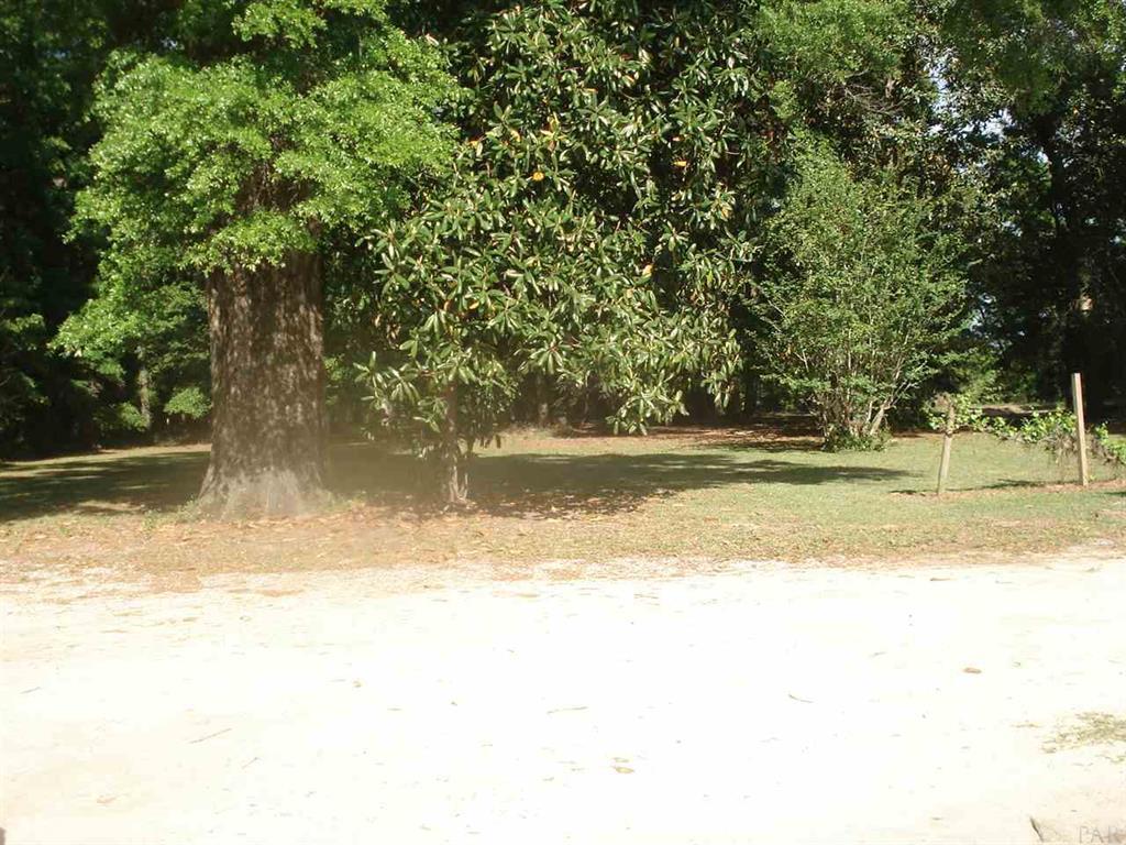 NE1/4 AKA GOVT LOTS 1 & 2 SUBJECT TO COUNTY EASEMET WITH DEED RESTRICTIONSlegal tbd - Land