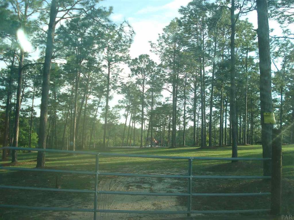 NE1/4 AKA GOVT LOTS 1 & 2 SUBJECT TO COUNTY EASEMET WITH DEED RESTRICTIONSlegal tbd - Land