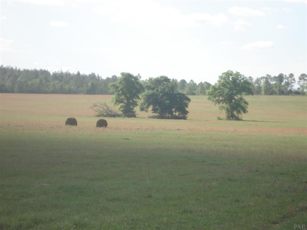 NE1/4 AKA GOVT LOTS 1 & 2 SUBJECT TO COUNTY EASEMET WITH DEED RESTRICTIONSlegal tbd - Land