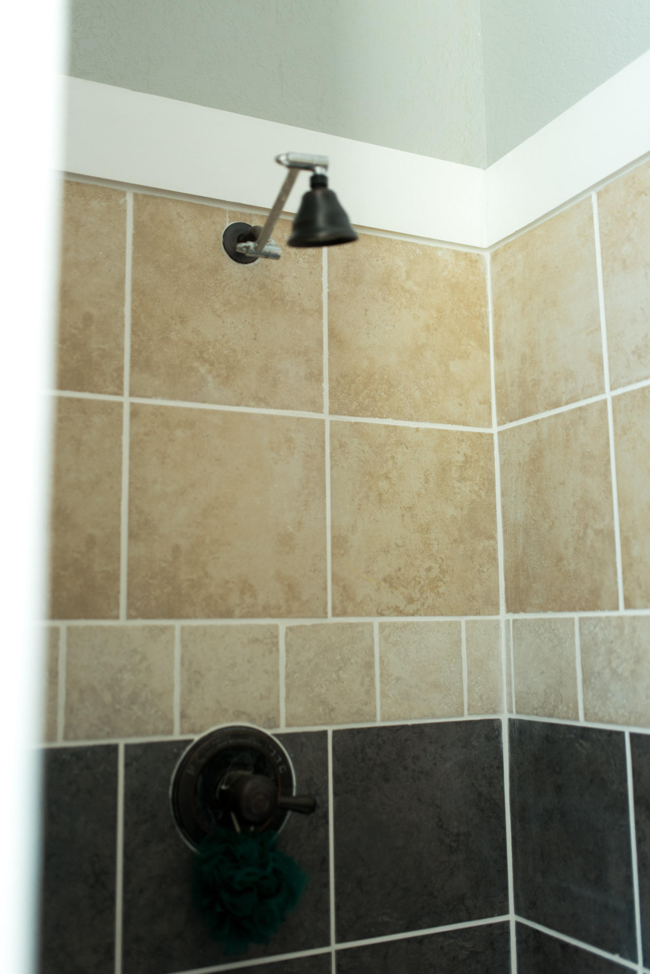 AVALON BEACH - Residential