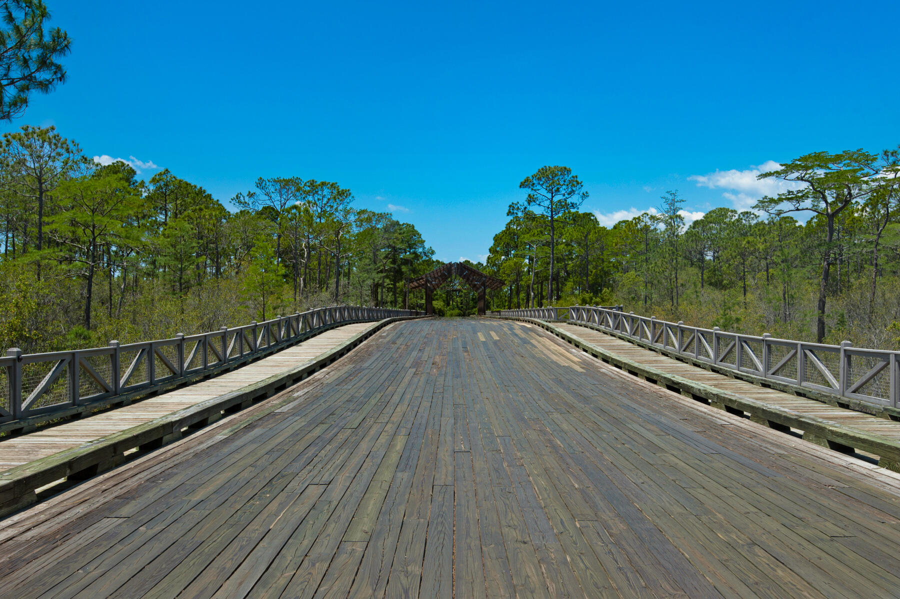 NATUREWALK AT SEAGROVE - Residential