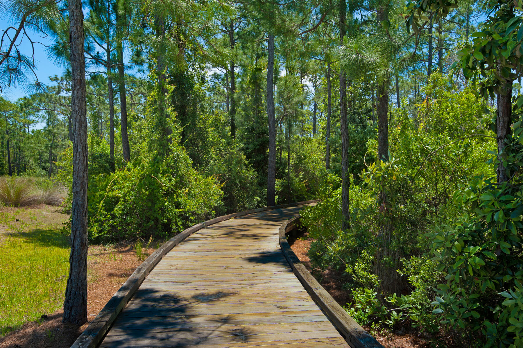NATUREWALK AT SEAGROVE - Residential