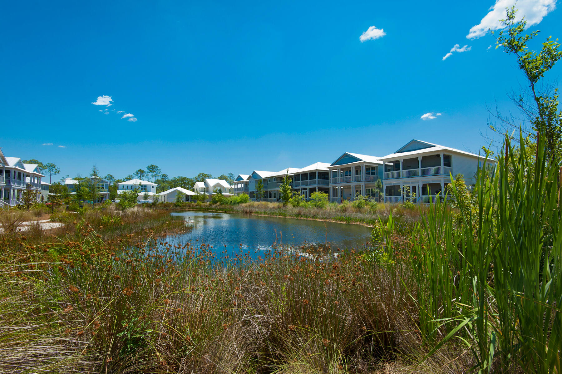 NATUREWALK AT SEAGROVE - Residential