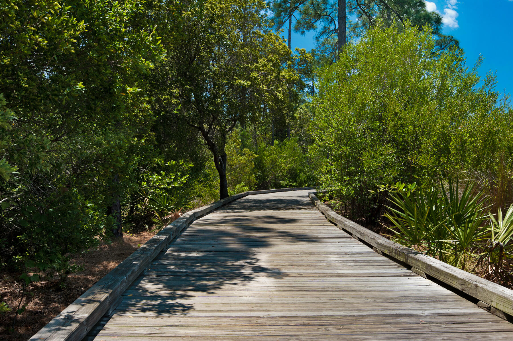 NATUREWALK AT SEAGROVE - Residential