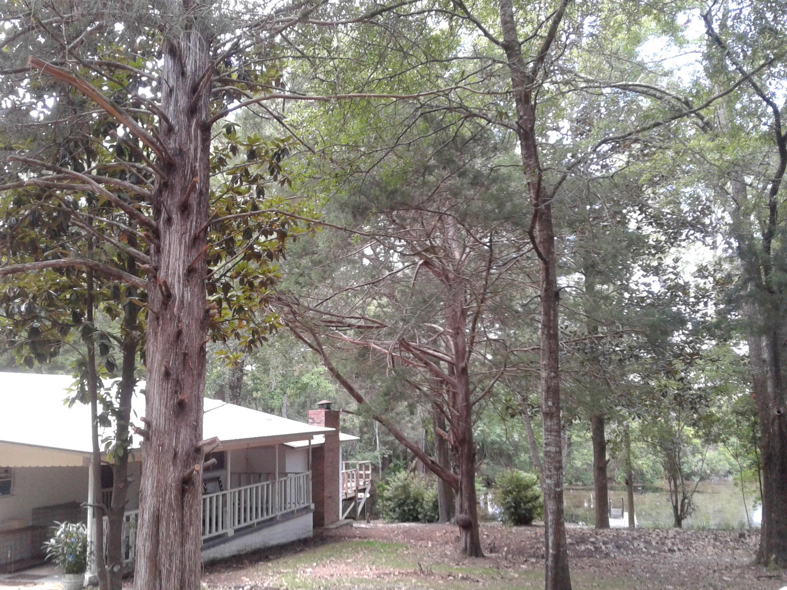 Cozy & charming, this country Home is nestled back in on just under 5 ACRES and on a large pond. The large deck overlooks the water with a dock for fishing or taking a small boat out for a quiet ride. 2 yard buildings, both 12 x 24, one is an awesome 'man cave' which has power; window a/c & a fridge. The home is well built, split level with 2 living spaces and good size bedrooms.Nice flooring throughout. New Hvac, New tankless HWH. Also, new septic system and well have been serviced.Washer/dryer convey with the home. The 2 yard buildings convey 'as is'.The seller will not be doing any more repairs.Buyer to verify all dimensions.