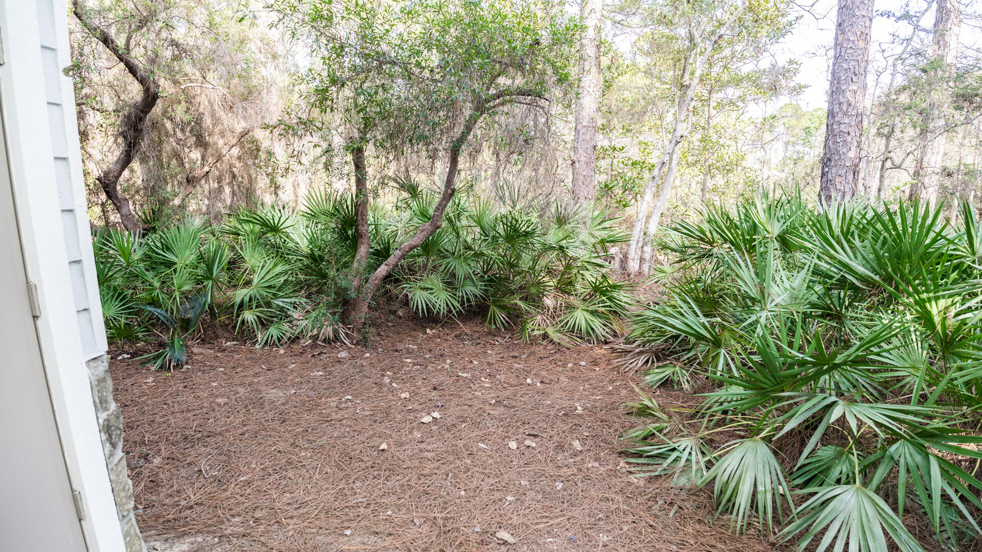 CASSINE GARDENS T/H PH 4 - Residential