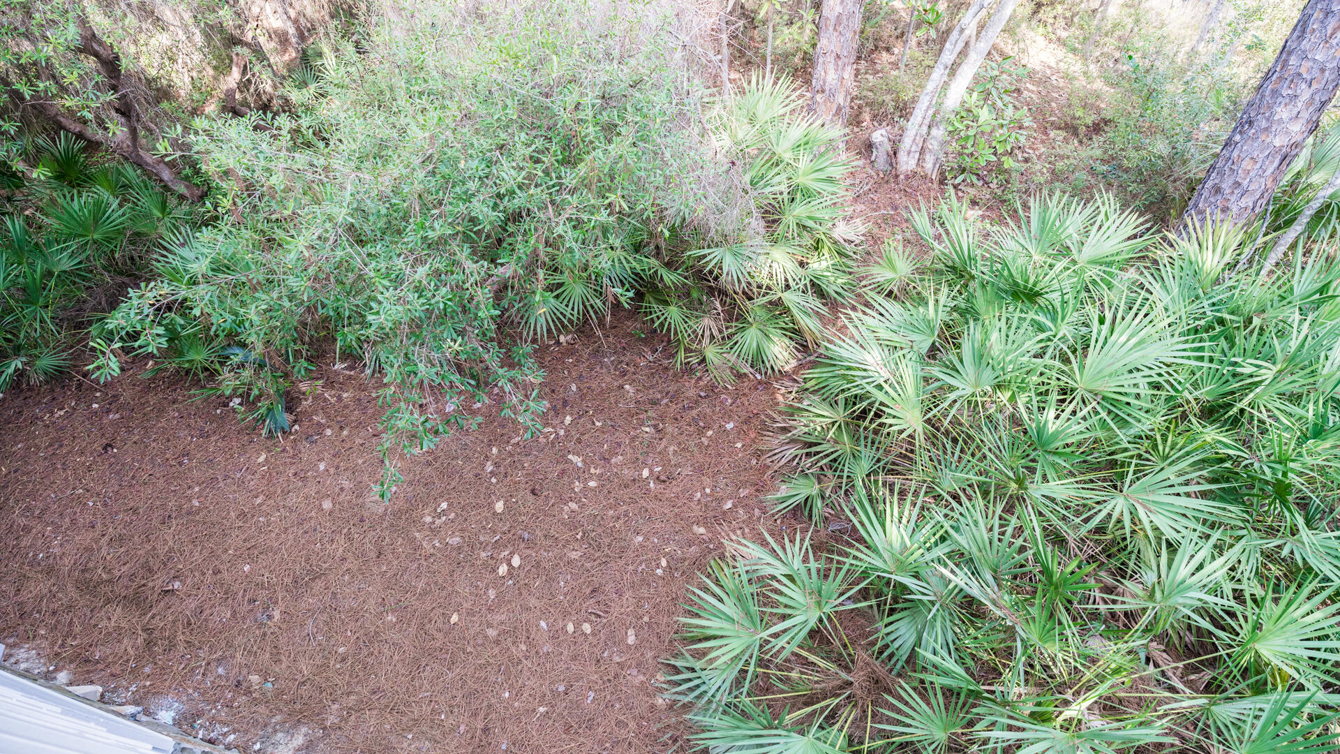 CASSINE GARDENS T/H PH 4 - Residential